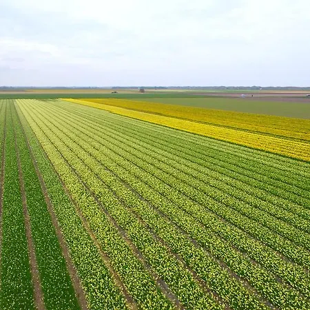 Kampeer & Logeerboerderij Madura Gæstehus *